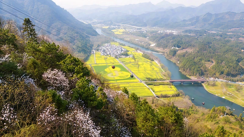 皖休寧齊雲山度假區：春日經濟「繁花」綻放