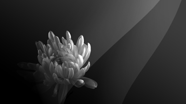 貴州省赫章縣交通事故致學生2死11傷