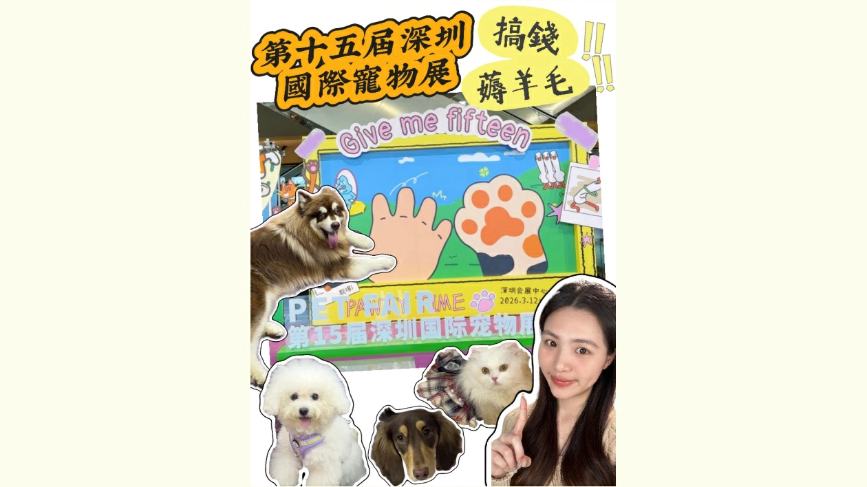 有片 | 深寵展周末開閘！搞錢黨&薅毛黨速沖！