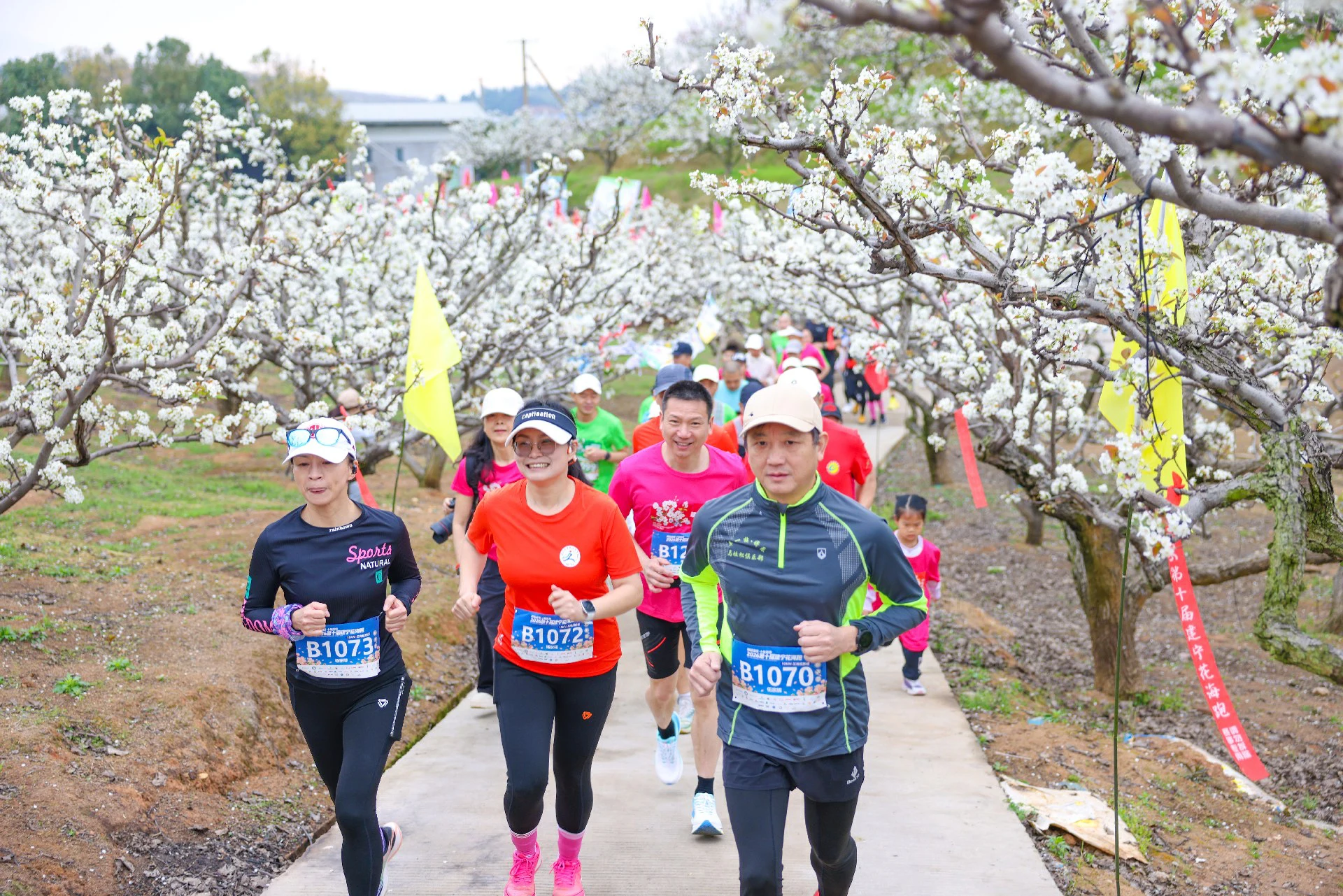 桃梨漫徑十年芳華——建寧第十屆花海跑燃情開跑