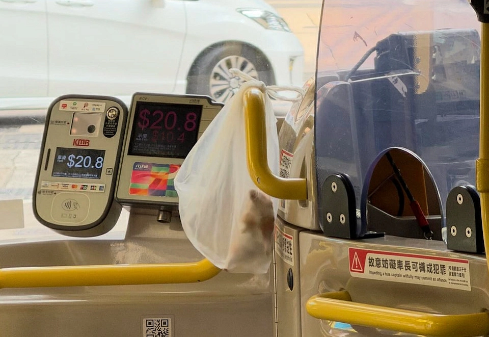 倉鼠巴士上疑走失 交愛協暫養家庭照顧