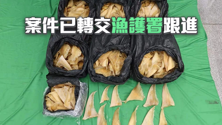 海關機場檢約52公斤受管制瀕危物種乾魚翅 拘捕巴西抵港28歲女子