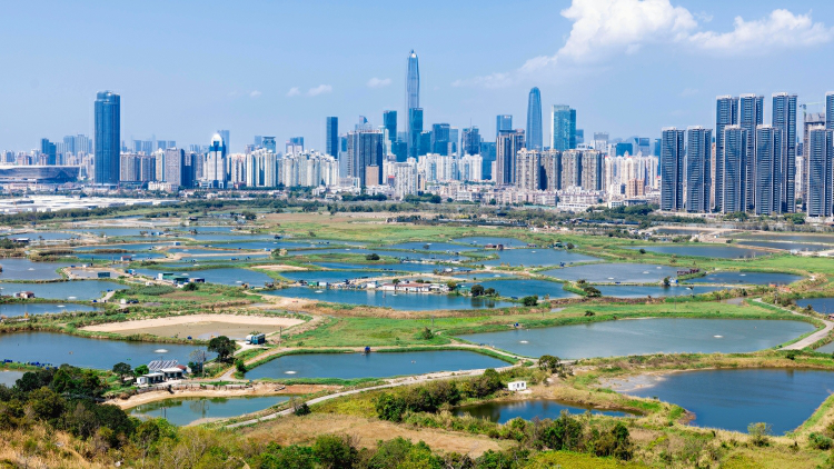 【港事講場】北都立法創新 掌發展主導權