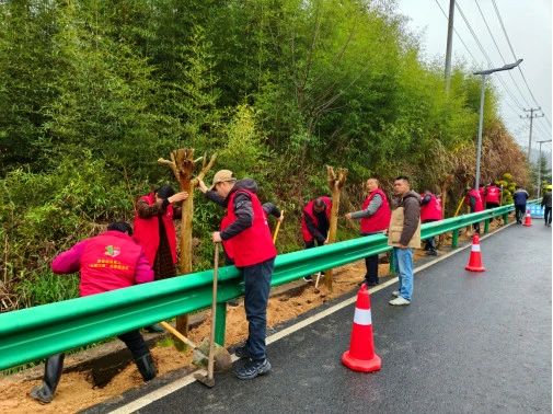皖黟縣西遞鎮：「迷彩綠」勇當義務植樹「排頭兵」