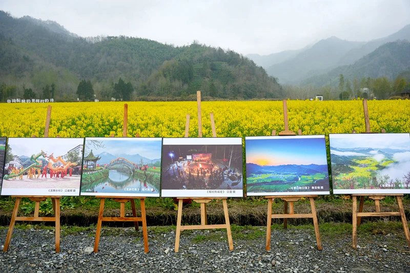 皖黟縣：雙花爭艷繪春景 花海經濟興鄉村