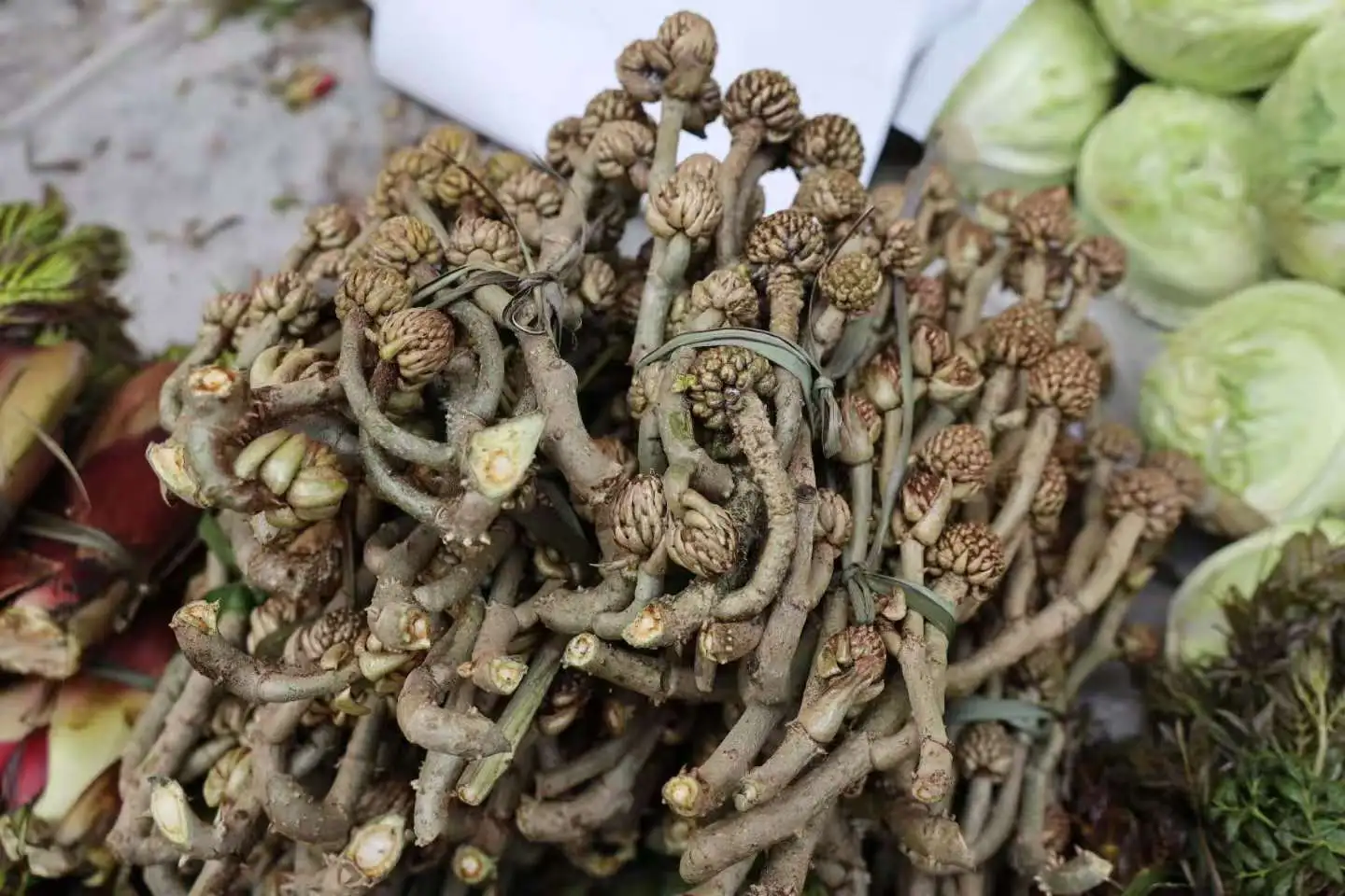 上山采春  下市嘗鮮：紅河元陽野菜正當時