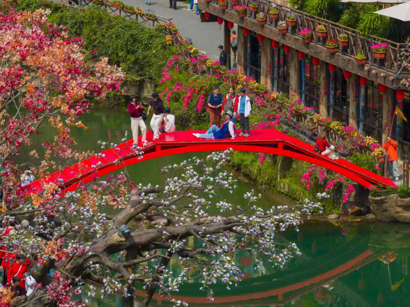  有片|廣東春日賞花  在古龍峽解鎖水陸空「立體春日」