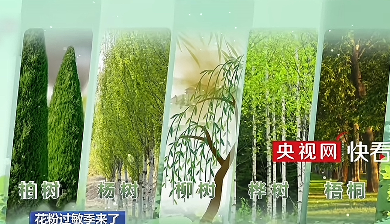  有片|春季花粉過敏高發，如何應對？