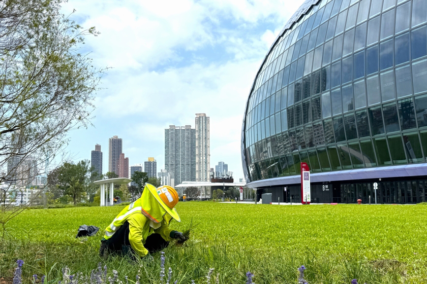 碧瑤去年純利升72%至9700萬 創上市新高