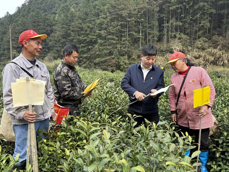 皖休寧縣：基層傳兩會「春風」 鄉村啟治理「新程」