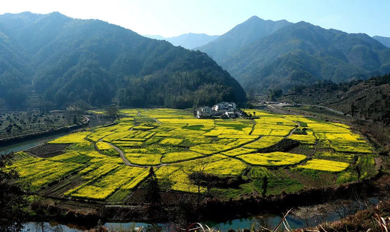 皖休寧板橋：泉水魚鄉春光美