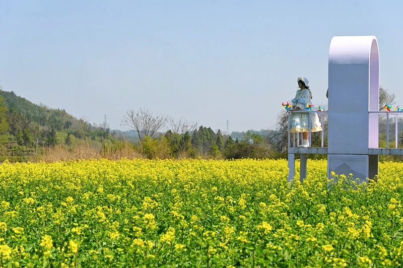 吃春菜 賞春花 購好物  皖休寧「春日經濟」生機勃勃