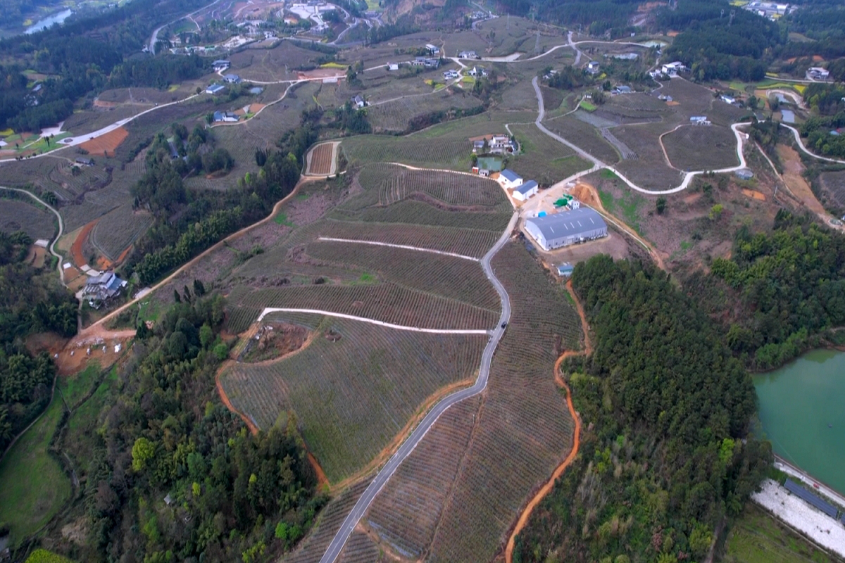 智慧管家賦能  北川農田灌溉水電節能產品提質增收