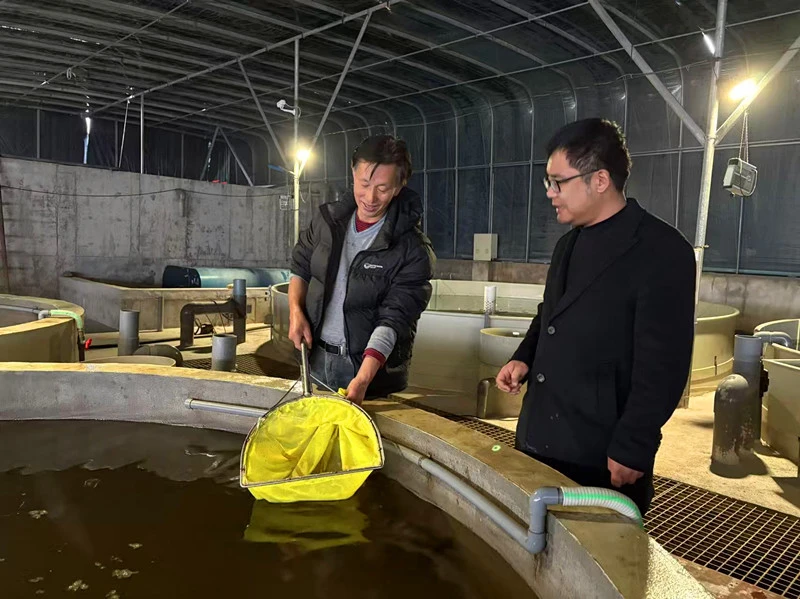 皖休寧縣：科技賦能  鱖魚產業提質增效