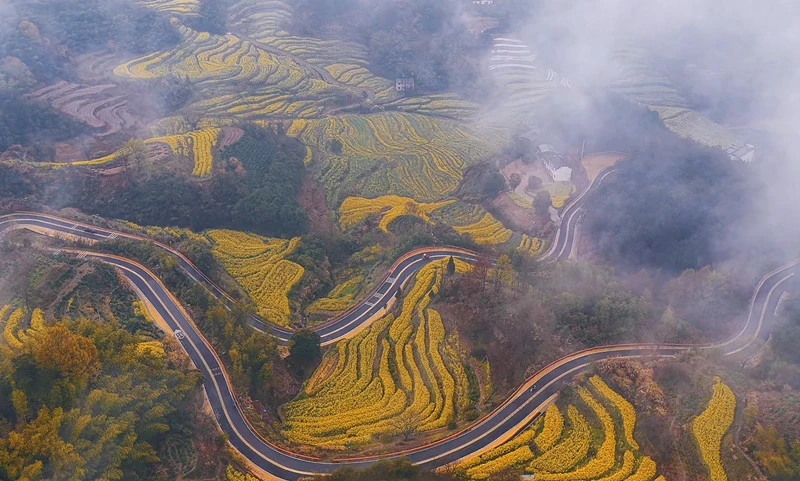 有片 | 皖徽州區：春遇靈山心飛揚