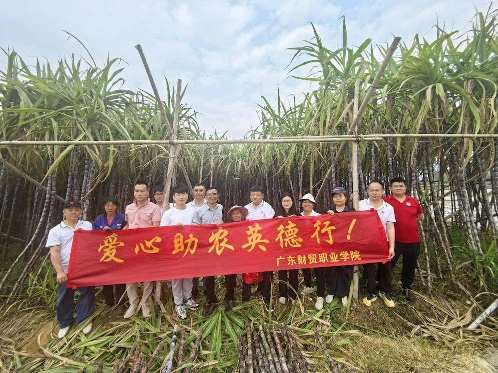 愛心助農  廣東財貿職業學院解蔗農燃眉之急