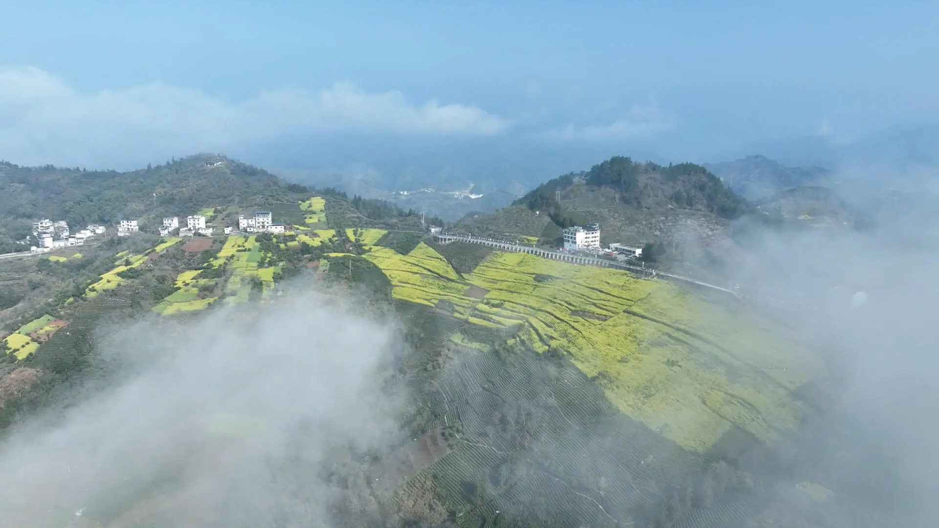 皖歙縣杞梓里鎮：生態「顏值」變經濟「產值」