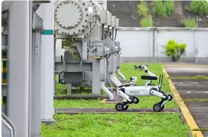 中國機器狗將在智利「上崗」