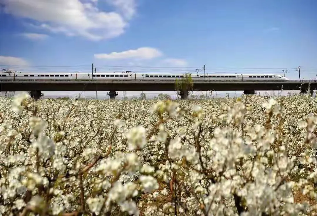 採摘+賞花  山西晉中推出3條春遊精品路線