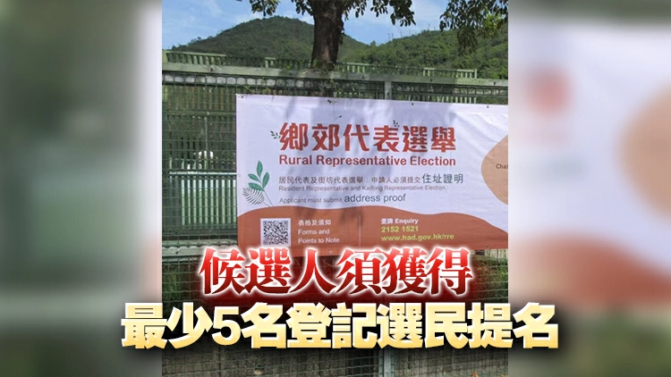 鄉郊代表19個席位需補選 候選人提名期4月2日至17日