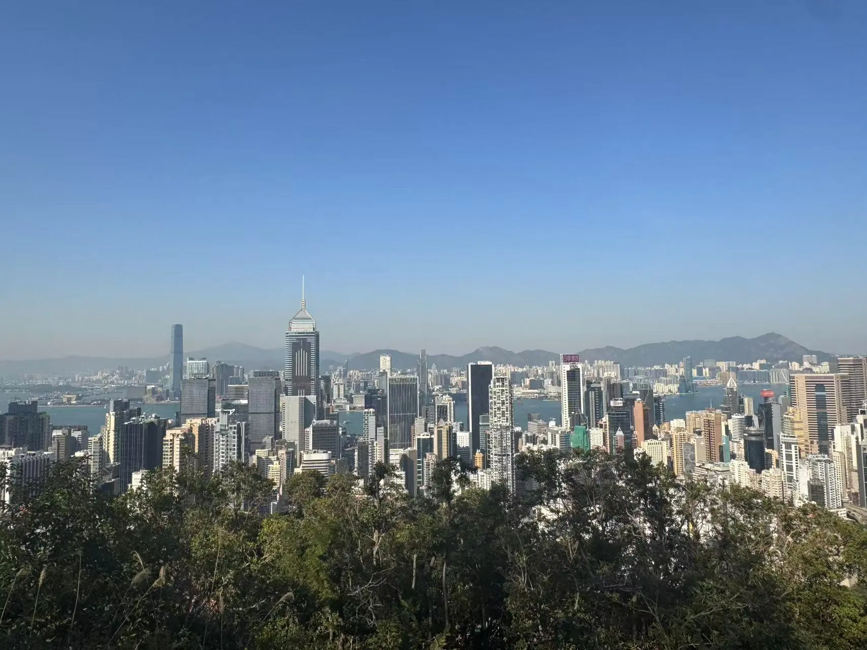 【來論】陳家偉：營商數據亮眼底氣足 乘勢鞏固國際金融中心地位