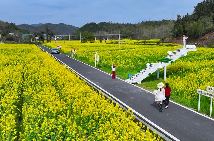 皖黟縣漁亭鎮：油菜花成撬動鄉村振興之「金色槓桿」
