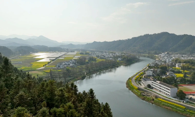 有片| 皖休寧：溪口春日惹人醉