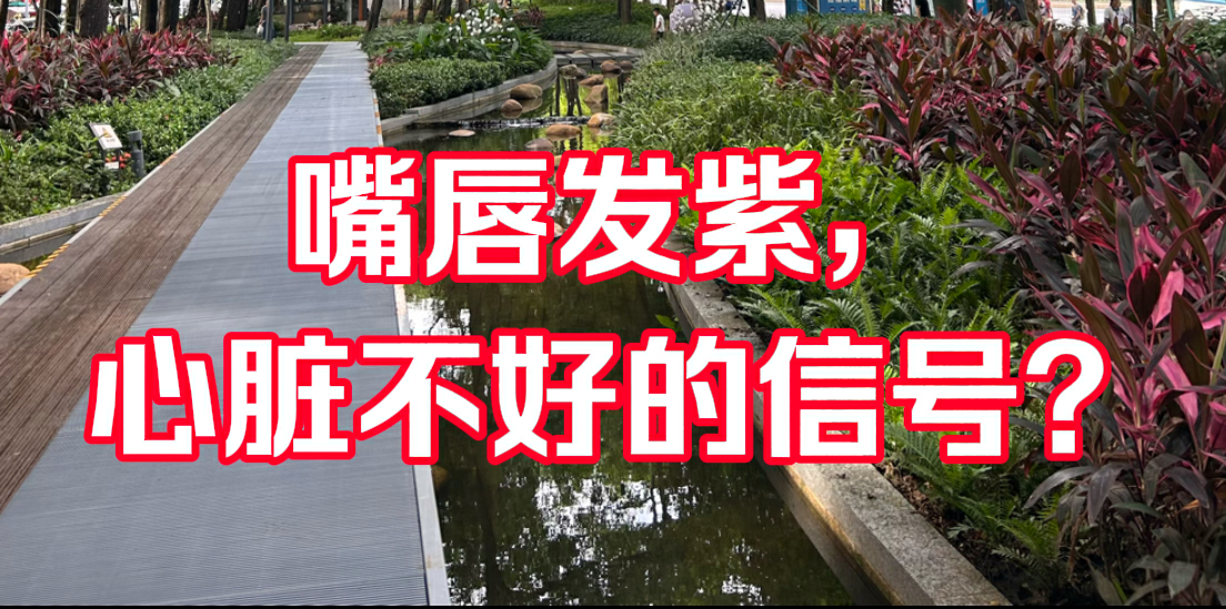 有片｜嘴唇發紫是心臟不好的信號？