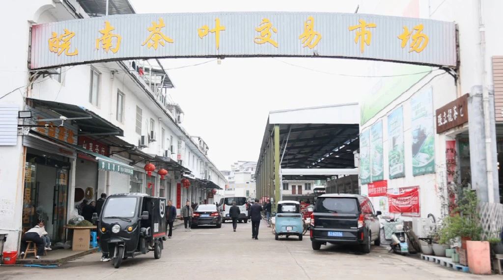 皖歙縣：皖南茶市春茶交易火熱開啟