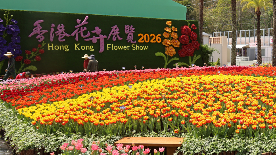 花展明日晚上9時閉幕 3·30上午9時派發3500盆植物 先到先得