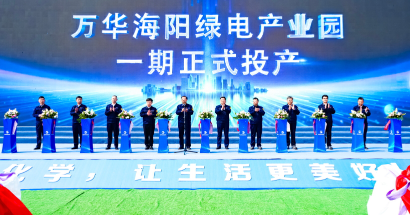 打造「綠電+新質生產力」標桿：山東萬華海陽綠電產業園一期投產二期開工