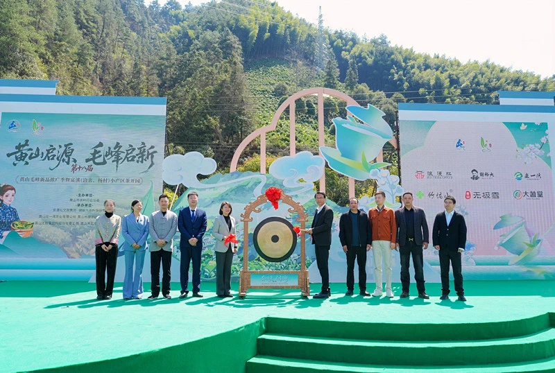  有片|黃山市徽州區：第十八屆黃山毛峰新品推廣季富溪「敲鑼」