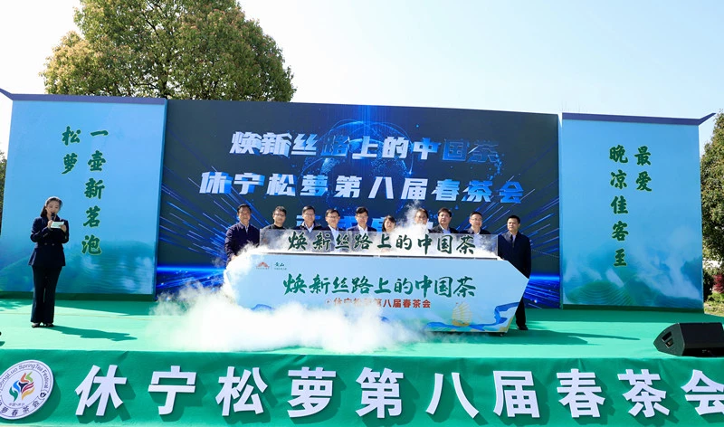 松蘿茶「煥新絲路」 安徽休寧茶產業綜合產值突破55億元