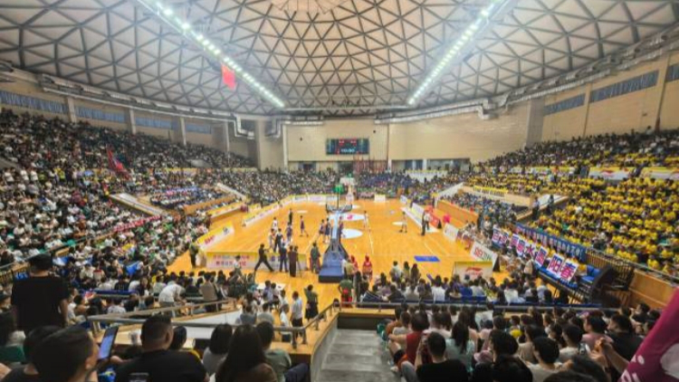 「敢打敢拼」粵BA，「向上向善」廣東人