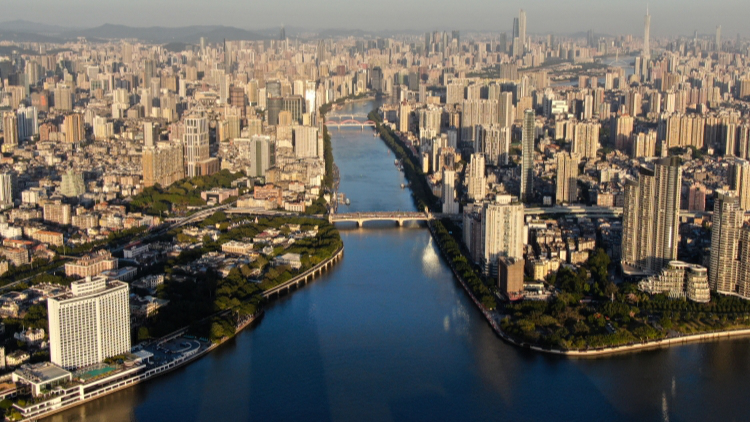 打造「垂模之都」 壯大「AI朋友圈」 廣州垂類模型企業收穫良好口碑