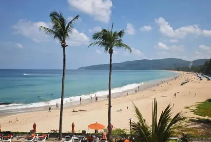 泰國普吉多處海灘及海域發現有毒水母出沒，中領館提醒中國游客警惕