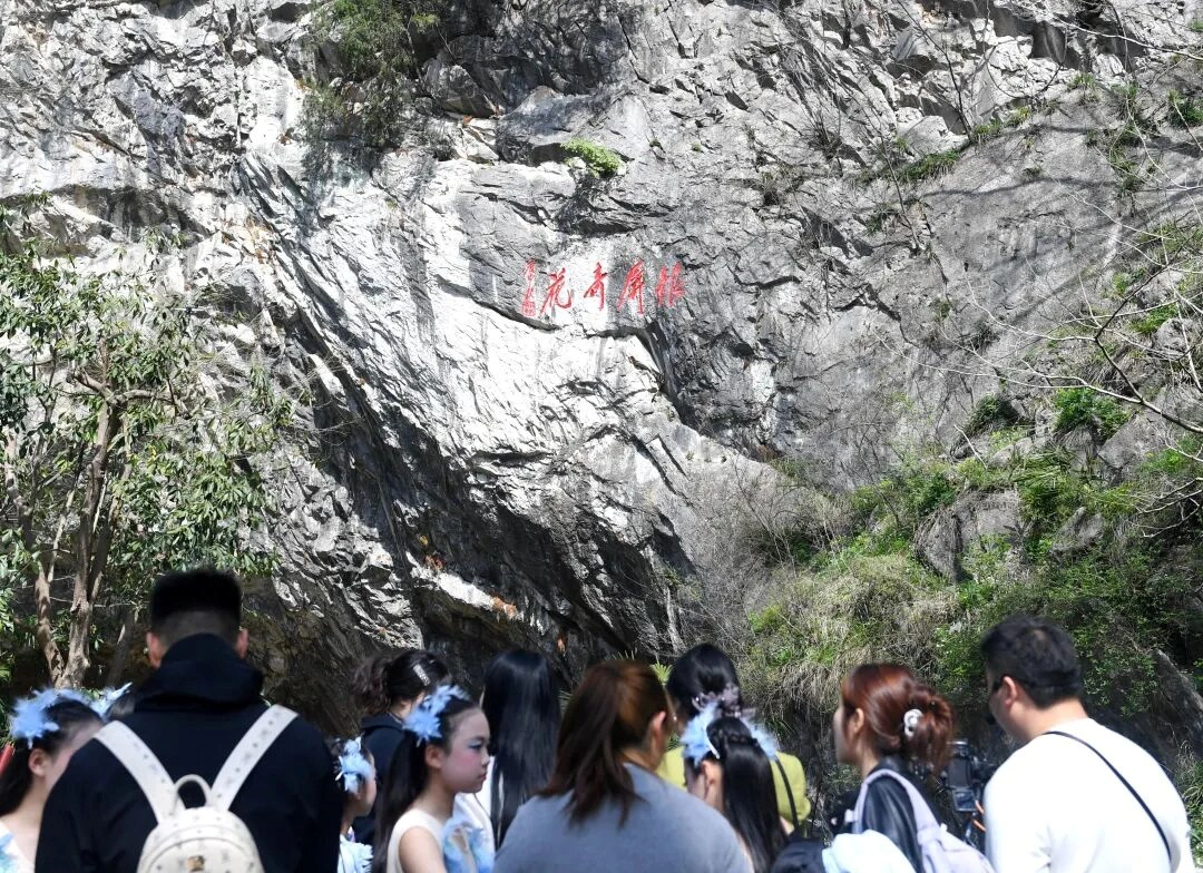 合肥：巢湖銀屏牡丹觀賞季活動啟幕