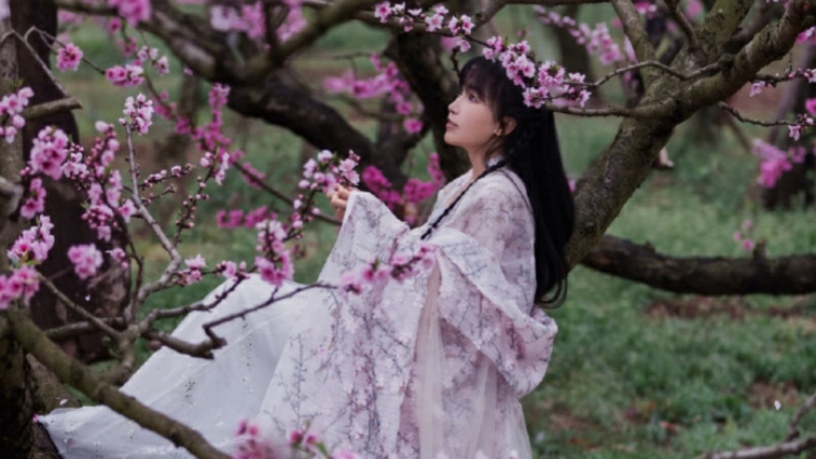 李子柒新片將上映