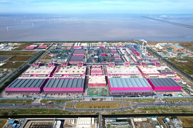 江蘇如東「項」上發力 跑出向海圖強「加速度」