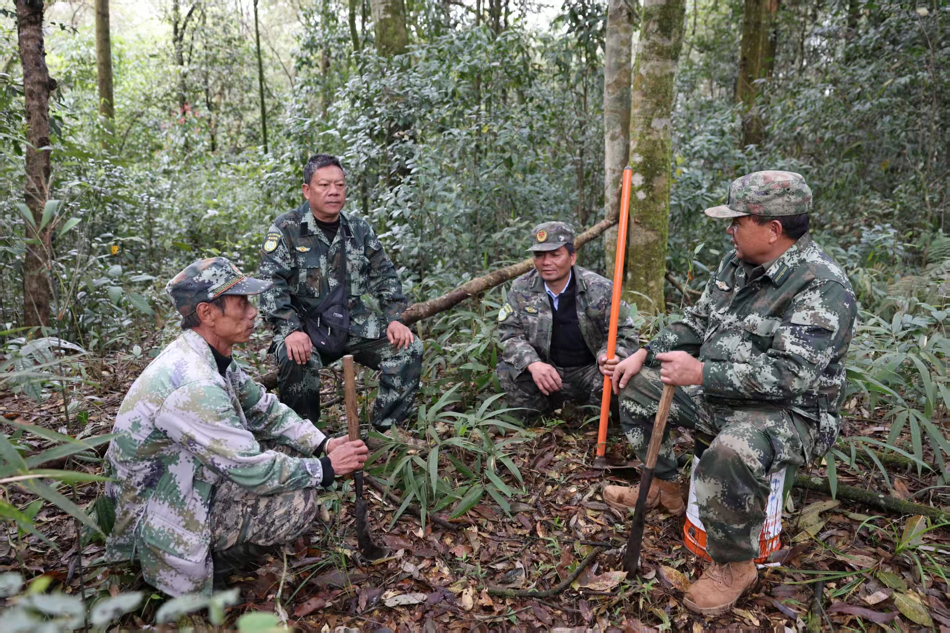 37年護林守青山 紅河元陽民族團結共潤哈尼梯田