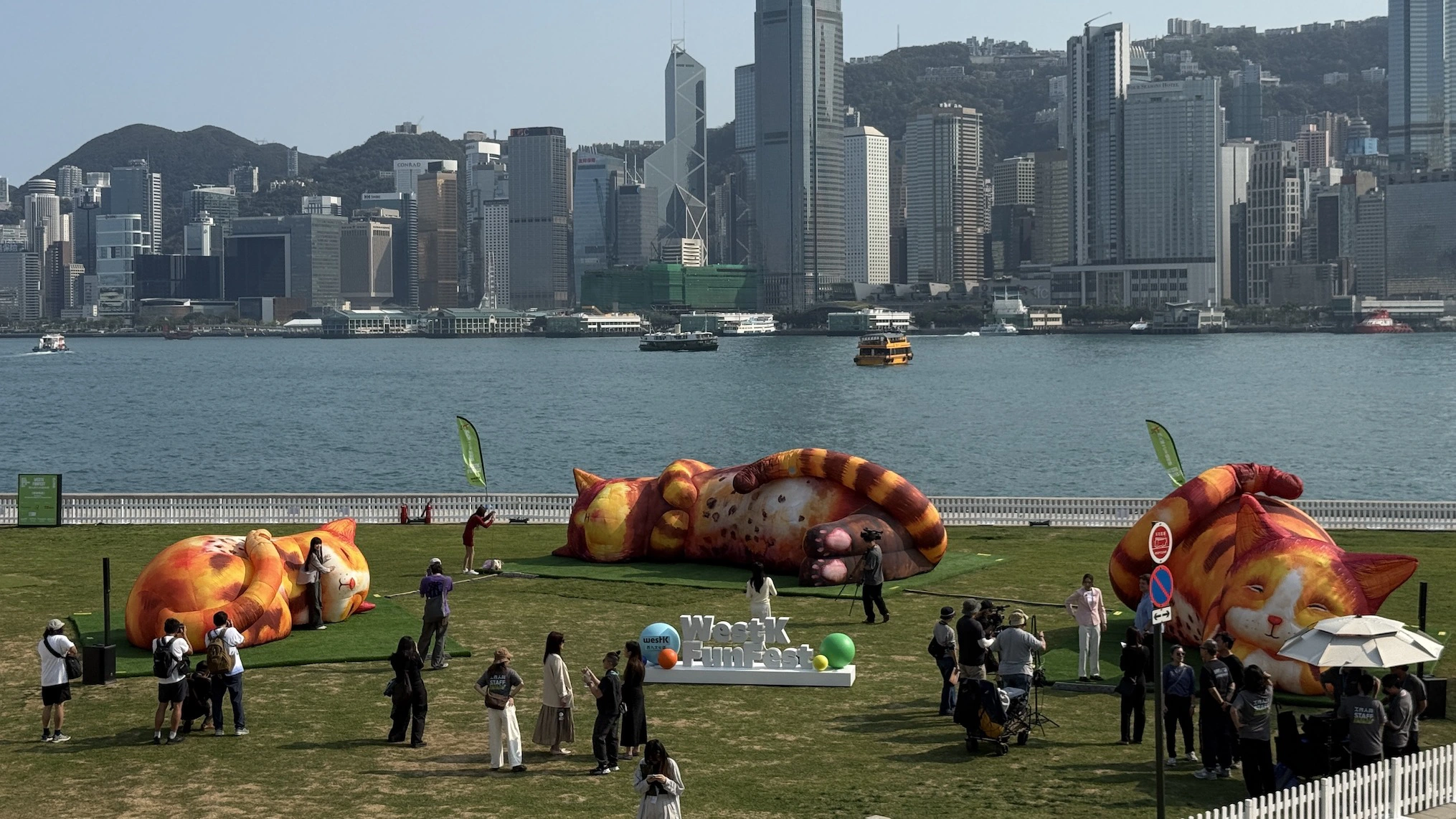 【藝術】巨型藝術裝置《夢遊喵境》亞洲首展