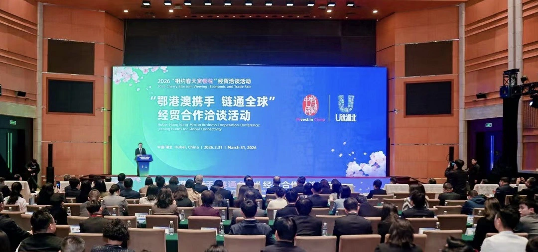 鄂港澳經貿合作交流活動舉辦