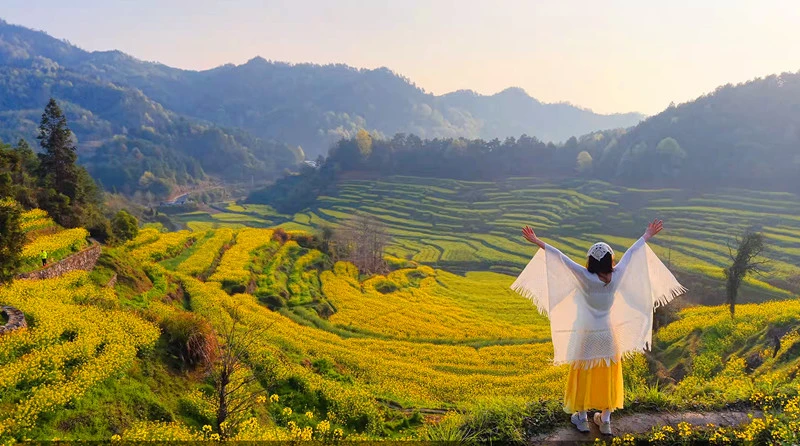 有片 | 黃山市徽州區：靈山梯田美如畫