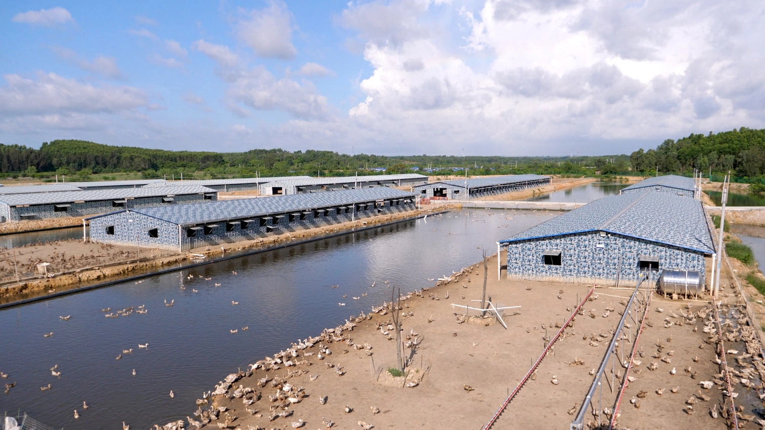 陳裕鑫：雙認證拓市場 築牢核心競爭力