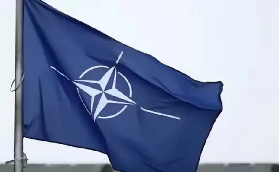 特朗普稱認真考慮退出北約：「我一直知道他們是紙老虎，普京也知道這一點」