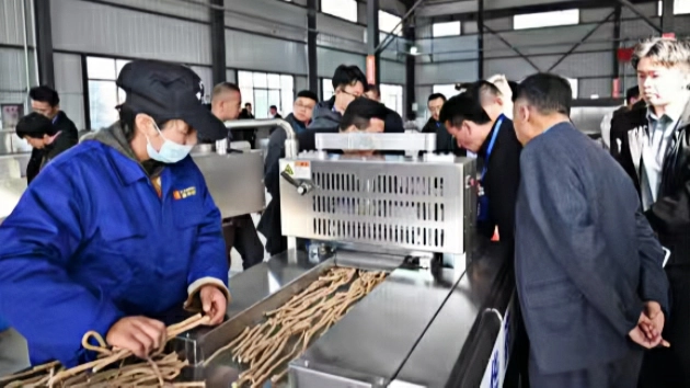 甘肅渭源：破解「卡脖子」難題中藥材切片攻克「最後1毫米」