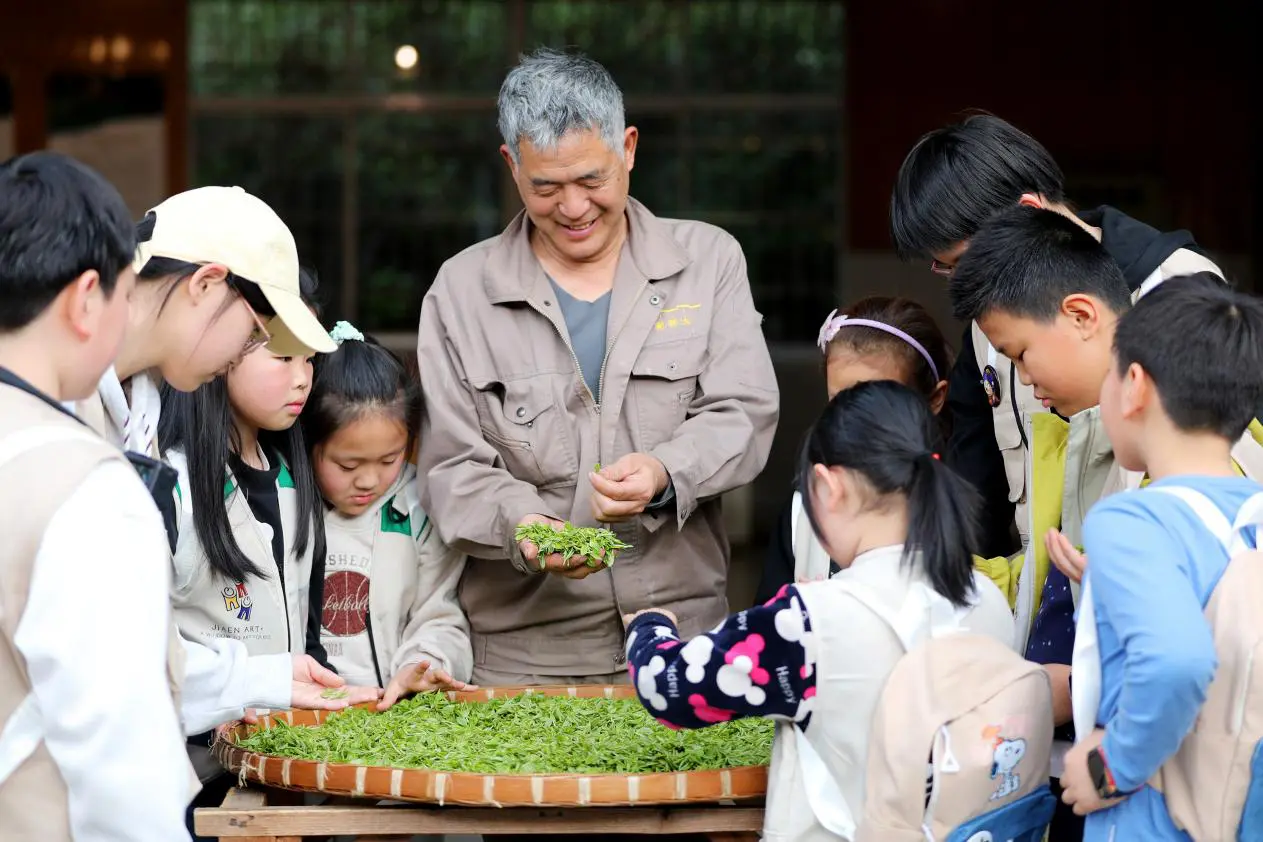 茶博園研學火熱 黃山市徽州區春假首日遊人如織