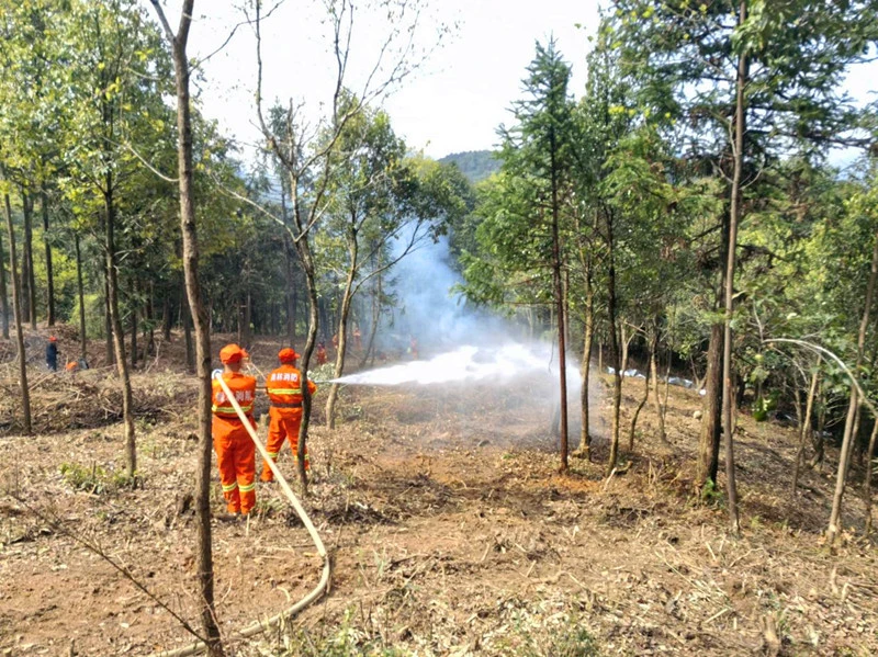 皖黃山區：太平湖國有林場多管齊下做好春季森防工作