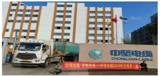 海南「澄邁製造」再添出海新戰績