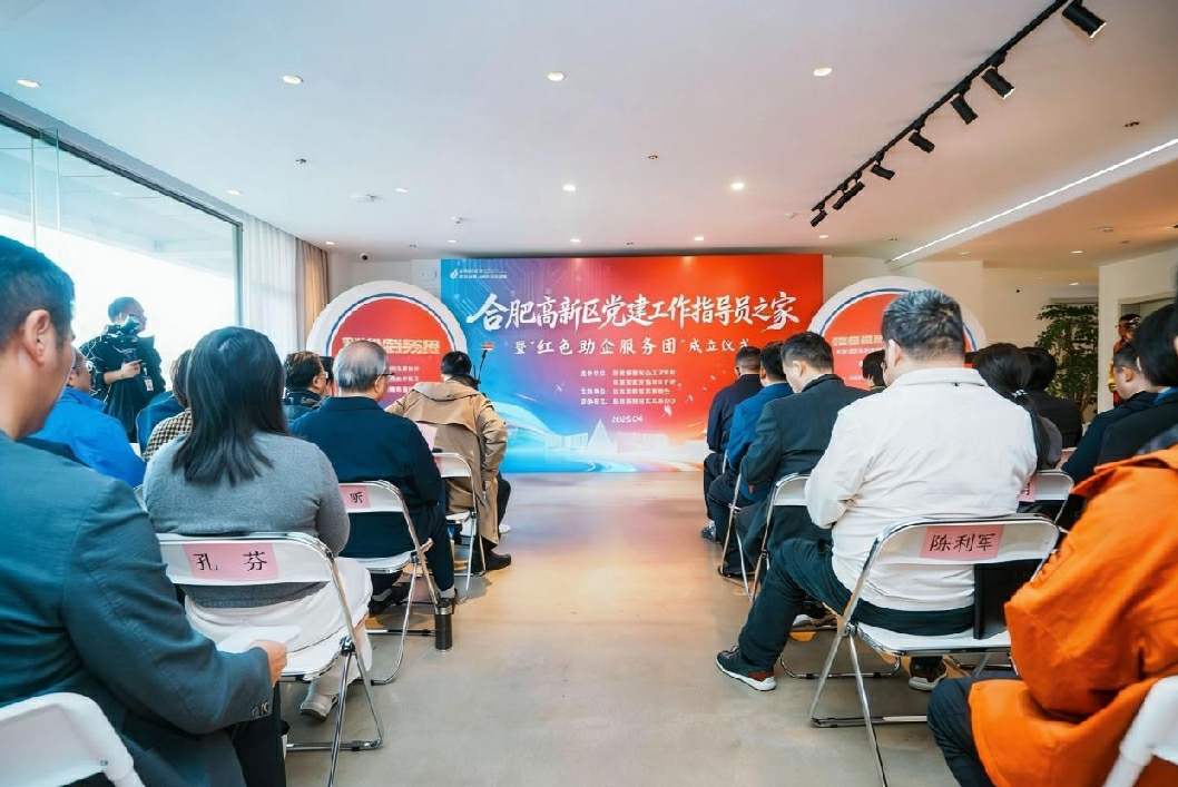 合肥高新區：黨建賦能聚合力紅色助企促發展